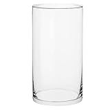 TREND FOR HOME Bodenvase Groß 29 cm Glasvase Zylinder Vase für Osterstrauch Klarglas Pampasgras Transparent Rund Modern Glaszylinder | 4900 ml | Ø 15.8 cm | Mag
