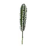 Ruluti Künstliche Kaktus Sukkulenten Topf Ornamente Grünpflanze Gefälschte DIY Hochzeitsbedarf Büro Garten Wohnkultur B