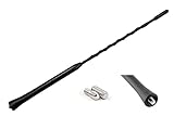Audioproject A103 - Autoantenne 28cm - kompatibel mit VW Golf 4 5 6 7 Passat Lupo Polo 6R Audi A6 Opel Corsa C D Astra G H Ford Focus Renault BMW Seat Skoda Radio-Antenne Dach-Antenne Auto-R