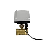TZZVFRCR 1' IP65 Zweiwege-wasserdichtes motorisiertes Kugelventil-Messingelektrokugelventil(DC12-CR04)