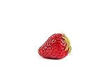 20 Ostara Erdbeerpflanzen - Frigo Pflanzen - Immertragend - Pflanzzeit: März/April - Ernte: Juli bis Oktober - Erdbeersetzlinge/Erdbeerstecklinge - Erdbeeren von Erdbeerp