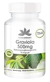 Graviola 500mg - 90 Kapseln für 90 Tage, Graviola-Fruchtpulver, vegan | HERBADIREKT by Warnke V
