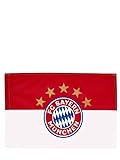 FC Bayern München Fahne Logo Rot/Weiß