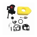 WETKUNSRUM 795477 Vergaser 691859 692211 Gouverneursfeder 698369 Luftfilter passend for Briggs & Stratton 795469 794147 699660 794161 498811