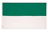 PHENO FLAGS Schützenfest Flagge - Schützenfest-Fahne 90x150 cm mit Messing-Ösen - Wetterfeste Fahne für Fahnenmast - 100% Polyester, Fahne weiß grü