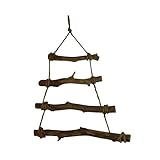 Seaside No.64 - Dekoleiter aus Jujubeholz mit Juteband zum Aufhängen - Hängeleiter für die Wand zum Dekorieren von Frühjahrsdeko, Osterdeko, Herbstdeko - Sprossenwand für eigenes Weihnachtsbaum-Desig
