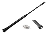 Audioproject A104 - Autoantenne 24cm - kompatibel mit VW Golf 4 5 6 7 Passat Lupo Polo 6R Audi A6 Opel Corsa C D Astra G H Ford Focus Renault BMW Seat Skoda Radio-Antenne Dach-Antenne Auto-R
