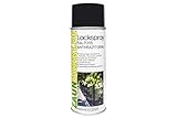 Zaundirekt Lackspray RAL 7016 Spraydose 400ml - Anthrazit Grau - Acryllack Sprühdose für Industrie, Handwerk und KFZ - Reparaturspray M