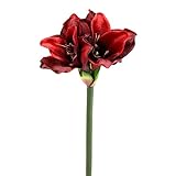 Flor & Decor Amaryllis in dunkelrot mit 3 Blüten, groß L60cm Ø15cm, künstlich, Weihnachten !!!
