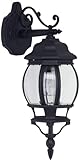 BRILLIANT Lampe Istria Außenwandleuchte hängend schwarz | 1x A60, E27, 60W, geeignet für Normallampen (nicht enthalten) | IP-Schutzart: 23 - regengeschü