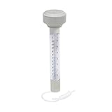 Bestway Flowclear Schwimmendes Pool-Thermometer, Grau, 5x5x19