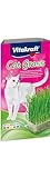 Vitakraft Cat Grass, frisches Katzengras, Katzengras fertig gewachsen, mit Vitaminen und Mineralien (1x 120g)