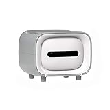 Taschentuchbox-Halter, niedliche Taschentuchspenderbox mit Aufbewahrungsfunktion, Kunststoff-Papier-Gesichtstuchbox für Küche, Wohnzimmer, Schlafzimmer und Büro, dekorativer S