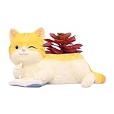 Töpfe für Pflanzen – Niedliche Pflanztöpfe für Zimmerblumen, Zimmerpflanzen und andere Pflanzen oder Bonsai – liebenswerter dekorativer Blumentopf in Katzenform Blumentopf für den Innenbereich,