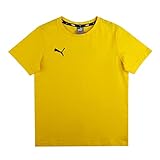 PUMA Unisex Teamgoal 23 casual t-shirt jr T shirt, Cyber Yellow, 128 EU