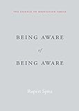 Being Aware of Being Aware (The Essence of Meditation Series) (English Edition)
