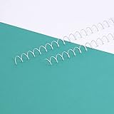 Craftelier - 2-Spiralen-Set zum Binden von Alben, Notizbüchern oder Agenden | Ideal für Scrapbooking und Bastelprojekte | Ø 1,27 cm (0,5') | Länge 30,5 cm (12') - Farbe Weiß