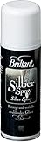 Brillant Silber Spray - mit Anlaufschutz - Silber Reiniger & Glanz - Schmuck Reiniger - Silberschmuck - Echtsilber & versilbert - Schutzspray