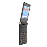 Dual Card Flip Phone, 100-240 V Zinklegierung Kunststoff Senior Flip 2G Mobiltelefon für den Außenbereich (EU-Stecker)
