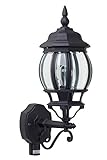 BRILLIANT Lampe Istria Außenwandleuchte stehend Bewegungsmelder schwarz | 1x A60, E27, 60W, geeignet für Normallampen (nicht enthalten) | IP-Schutzart: 23 - regengeschü
