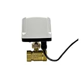 TZZVFRCR 3/4'' IP65 Zweiwege-wasserdichtes motorisiertes Kugelventil Messing elektrisches Kugelventil(DC24-CR02)