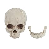 Resin Skull Model, Replica Skull Model, Lifesize Clear Form Halloween Party für Night Club Bar Party O