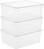 Rotho Clear 3er-Set Aufbewahrungsbox 10l mit Deckel, Kunststoff (PP) BPA-frei, transparent, 3 x 10l (36,0 x 26,0 x 14,0 cm)