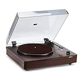 Hofeinz Vinyl-Plattenspieler mit Magnetkartusche, Plattenspieler mit integrierten Lautsprechern, 2-Gang-LP-Player (33, 45 U/min), Bluetooth-Wiedergabe und Aux-in-Funk