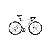 TABKER Rennrad Off Road Bike Carbon Frame 22 Speed Thru Achse 12 * 142mm Disc Brake Carbon Fiber Road Bicycle (Color : Silver, Size : 48cm)