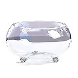 Aquarium, Aquarium, verdicktes transparentes Glas, Schildkrötenbecken mit Unterstützung, Kleiner Fuß, ökologisches Aquarium, Heimbüro, Desktop-Aquarium-Set (Größe: XS) (einfarbig, L)