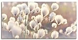 ARTland Leinwandbilder Wandbild Bild auf Leinwand 100 x 50 cm Wanddeko Natur Zauber Idyll Frühling Moor Pflanzen Gräser Blumen Wollgras T2BZ