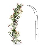 Relaxdays Torbogen Rankhilfe für Kletterpflanzen und Rosen 240 cm, Rosenbogen aus Metall witterungsbeständig, grün, 240 x 140 x 38