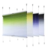 Plissee Faltrollo 115 x 210 cm Rollo für Fenster Sichtschutz und Sonnenschutz Bequeme Montage Inkl. Aller Montage-Teile für Fenster & Tür, Schw
