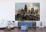 Harry Potter Kinderzimmer Fototapete von AG Design | 252 x 182 cm | 4 Teile | AFTDXL 1962