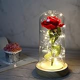 Die Schöne und die Biest Rose, Für Immer Rose, Ewige Rose in Transparente Kuppel, Rose Geschenk für Muttertag, Jubiläum, Geburtstag, Valentinstag, Zimmer Dek