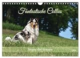Fantastische Collies - Sieger der Herzen (Wandkalender 2024 DIN A4 quer), CALVENDO Monatsk