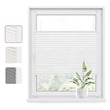 WOLTU Plissee Klemmfix ohne Bohren 80x100cm (BxH) Weiß Faltrollo Plisseerollo mit Klemmträger Lichtdurchlässig, Jalousie Sichtschutz und Sonnenschutz Easyfix Rollo für Fenster & Tü