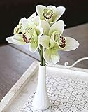 artplants.de Kunstorchidee Cymbidium WELLORIE, Keramikvase, Creme-grün, 30cm - Orchidee künstlich - Künstliche B
