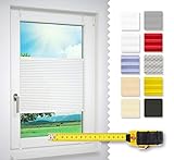 Lysel Home Plissee NACH MAß Qualität Made in Germany ohne Bohren zum Klemmen Fenster Rollo Jalousie Sichtschutz S