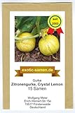 Gurke – Zitronengurke – Crystal Lemon - 15 S