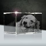 3D Laser Foto Glas | Quader 56mm | 1 Person oder Tier zB als Geschenk für Hund &
