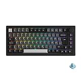 Akko Gasket Mechanische Tastatur DREI-Modus, ISO-DE Layout, 75% RGB Gaming Keyboard mit Hot-Swap Taktile Switch, Cherry PBT Keycap, Programmierbare mit Drehknopf (5075B Plus, Schwarz Silber)