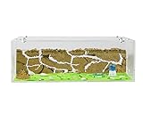 AntHouse - Natürliche Ameisenfarm aus Sand | Big Acryl Starter Set 30x15x10 cm | Inklusive Ameisenk
