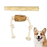 Reyshin Holz-Kaustab für Hunde, 2 Stück Kauspielzeug Natürliches Hundespielzeug Kauwurzel für Zahnpflege & Kaumuskel Training von Welpen (S - Für Hunde bis 10kg)