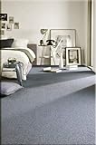 rugsx Einfarbiger Teppich Eton für Zimmer, Wohnzimmer, Schlafzimmer, Teppichboden Auslegware, Silber grau, Verschiedene Größen, 300x400