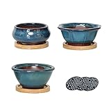 Jinfa Bonsai Schale Bonsai Topf Keramik Bonsaischale mit Untersetzer und Entwässerungslöchern | Türkis | 3 Töpfe + 3 Bambus Untersetzer + 3 Drainageg