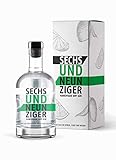 Hannover96 Gin | mit hochwertiger Geschenkverpackung | 500ml Einzelflasche | 42% Vol. | Geschenkidee für Hannover96 Fans und Hannover Liebhab
