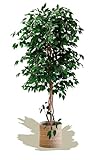 Maia Shop Künstlicher Ficus-Baum 180 cm zur Dekoration von Zuhause und Büro, Baum, Hyperrealistische Dekorative Künstliche Pflanze mit Natürlichem S
