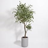 CG Hunter Kunstficus-Baum, hochwertiger künstlicher Zimmerpflanzenständer, 1,5 m hoch, lebensechte Blätter und handbemalter Stamm schaffen realistisches Kunst-Ficus-Baum-Aussehen, taupe Pflanztop