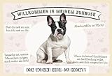 mrdeco Metall Schild 12x18cm gewölbt Frech Bulldog willkommen Zuhause S